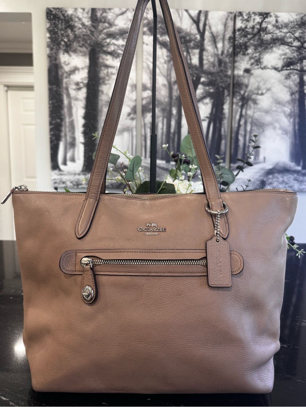 Coach Taylor Tote 38312 Taupe Pebbled Leather Zip Top Shoulder Bag